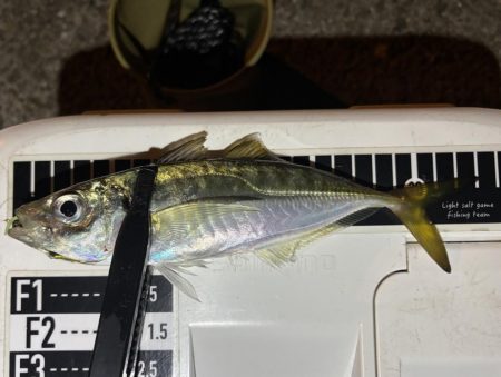 ええアジ釣れた〜