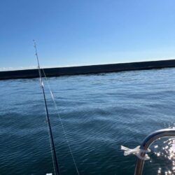 神戸キャスティング