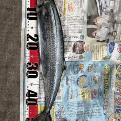 りんくうショアジギ