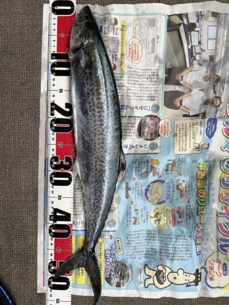 りんくうショアジギ