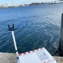 シロギスタ:久々の沖堤防