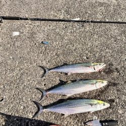 バラしまくったけど