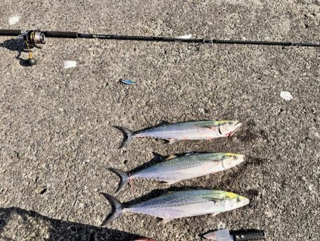 バラしまくったけど