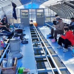 諏訪湖ワカサギ釣り！