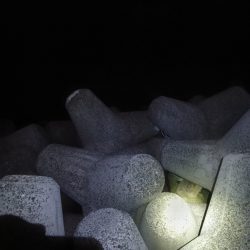 深夜と、朝と。フカセなど