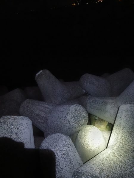 深夜と、朝と。フカセなど