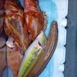 冬の穴釣り開始＆アタリの日