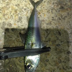 場所が変われば釣果も変わる？