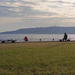 秋も深まり⋯⋯