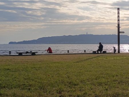 秋も深まり⋯⋯