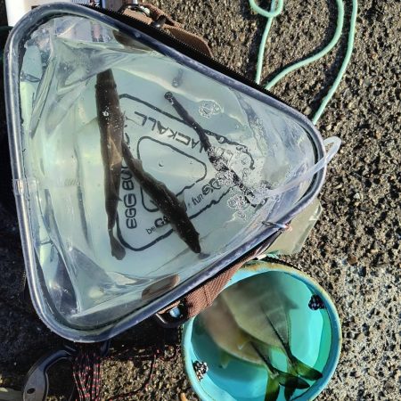 たまにはこんな日も🌟