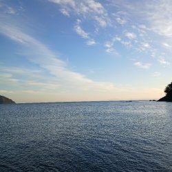 2025秋終盤第六回エギング調査