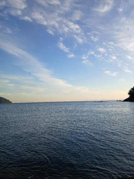 2025秋終盤第六回エギング調査