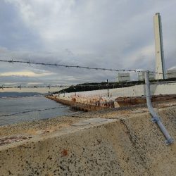 朝、夕まずめのダブルヘッダー