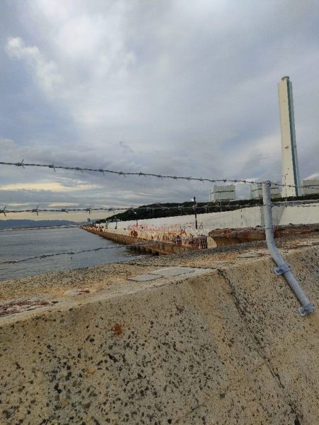 朝、夕まずめのダブルヘッダー