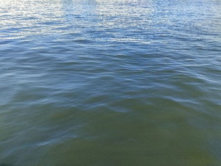 3週間ぶりに今ｼｰｽﾞﾝ5匹目