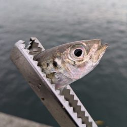 キス狙いのはずが