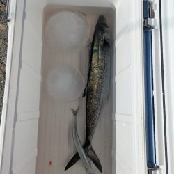 ハードジギング