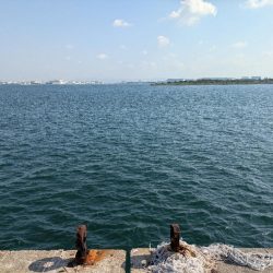 ハードジギングパート2