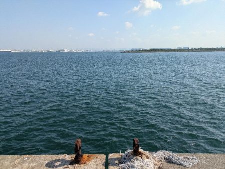 ハードジギングパート2