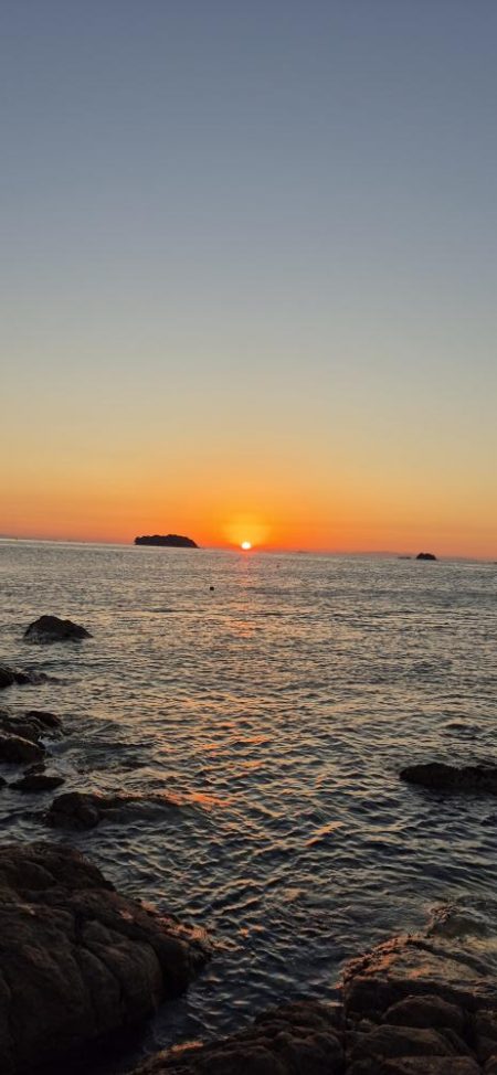 みんな青物は何処へ