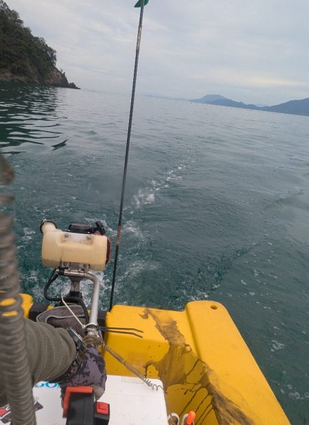 怒涛の5連チャン!でもその後は