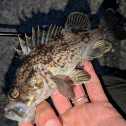 青森遠征ライトロック1日目