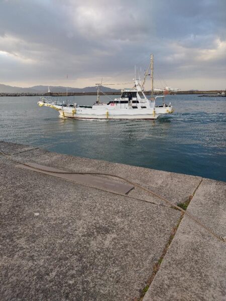 初ホウボウ＆白甘鯛