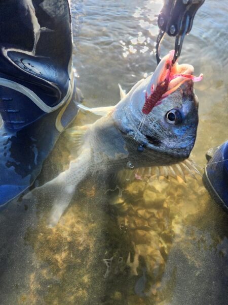 広島呉地区開拓