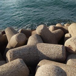 シーバス、ツバス、ヒラメがヒット！