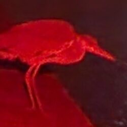 今日は根魚狙いで