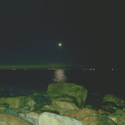 サーフフロートアジング