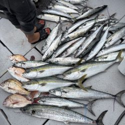 初の家族でのライトジギング