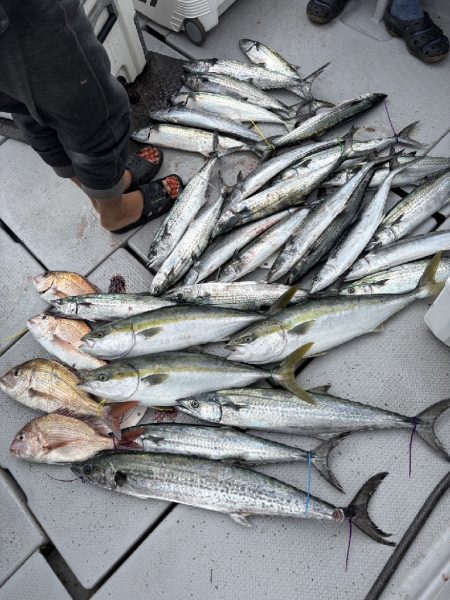 初の家族でのライトジギング