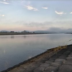 四目釣れました!