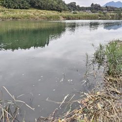 マゴチとソゲが釣れました!