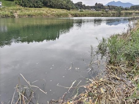 マゴチとソゲが釣れました!