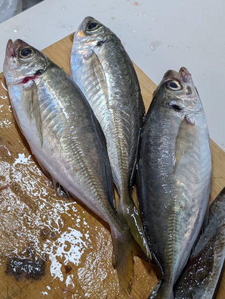 エレベーター式飲ませ釣り