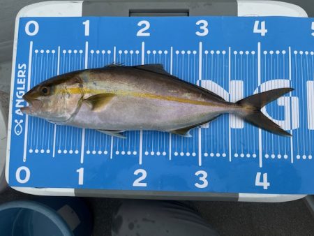 雨の中で一つテンヤ頑張りました