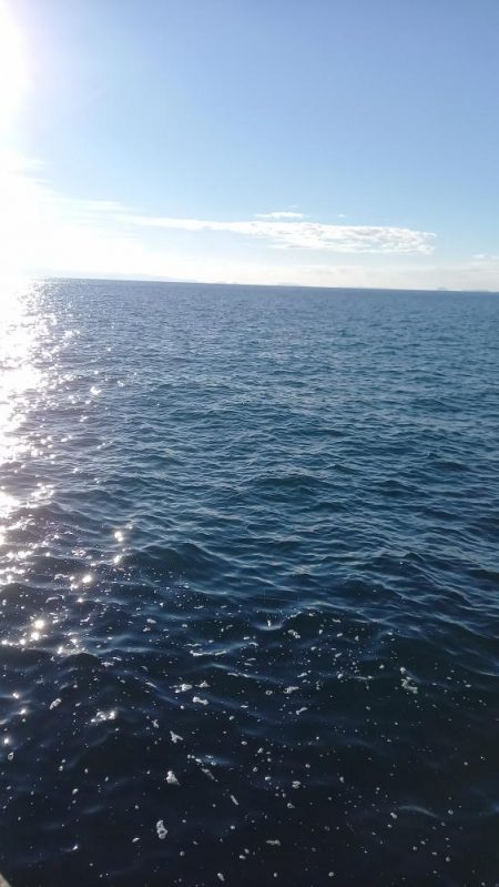 2025秋の青物シーズン開幕③