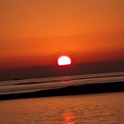 久しぶりのエギング