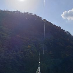 とりあえずアオリ10回目