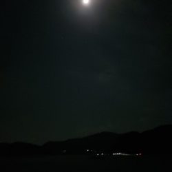 とりあえずアオリ9回目（8回目はボウズ）