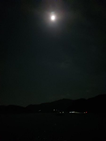 とりあえずアオリ9回目（8回目はボウズ）