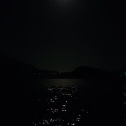 とりあえずアオリ11回目