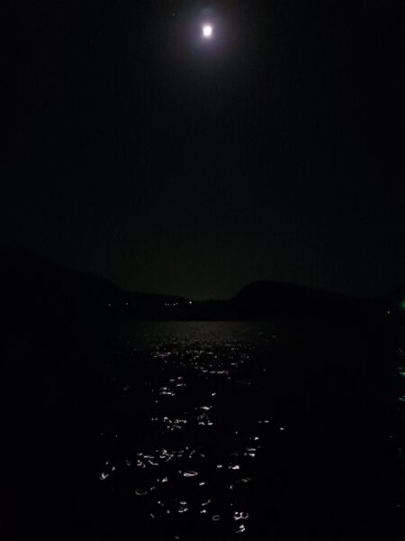 とりあえずアオリ11回目