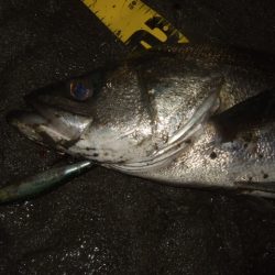 厳しい状況の中