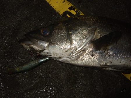 厳しい状況の中