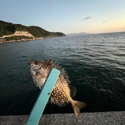 淡路島　遠征失敗