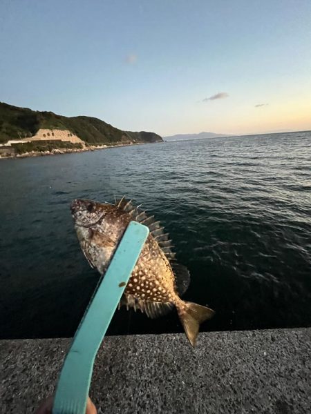 淡路島　遠征失敗